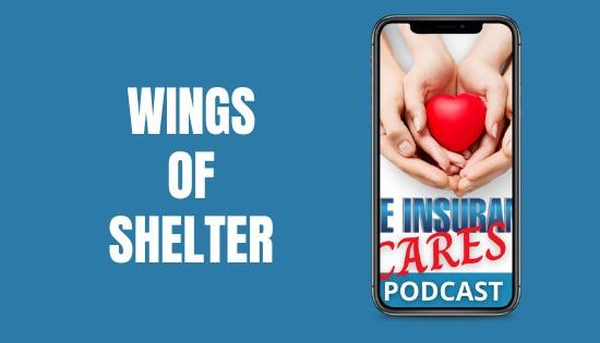 Wings of Shelter