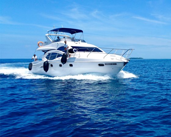 Your-Premier-Choice-for-Boat-img